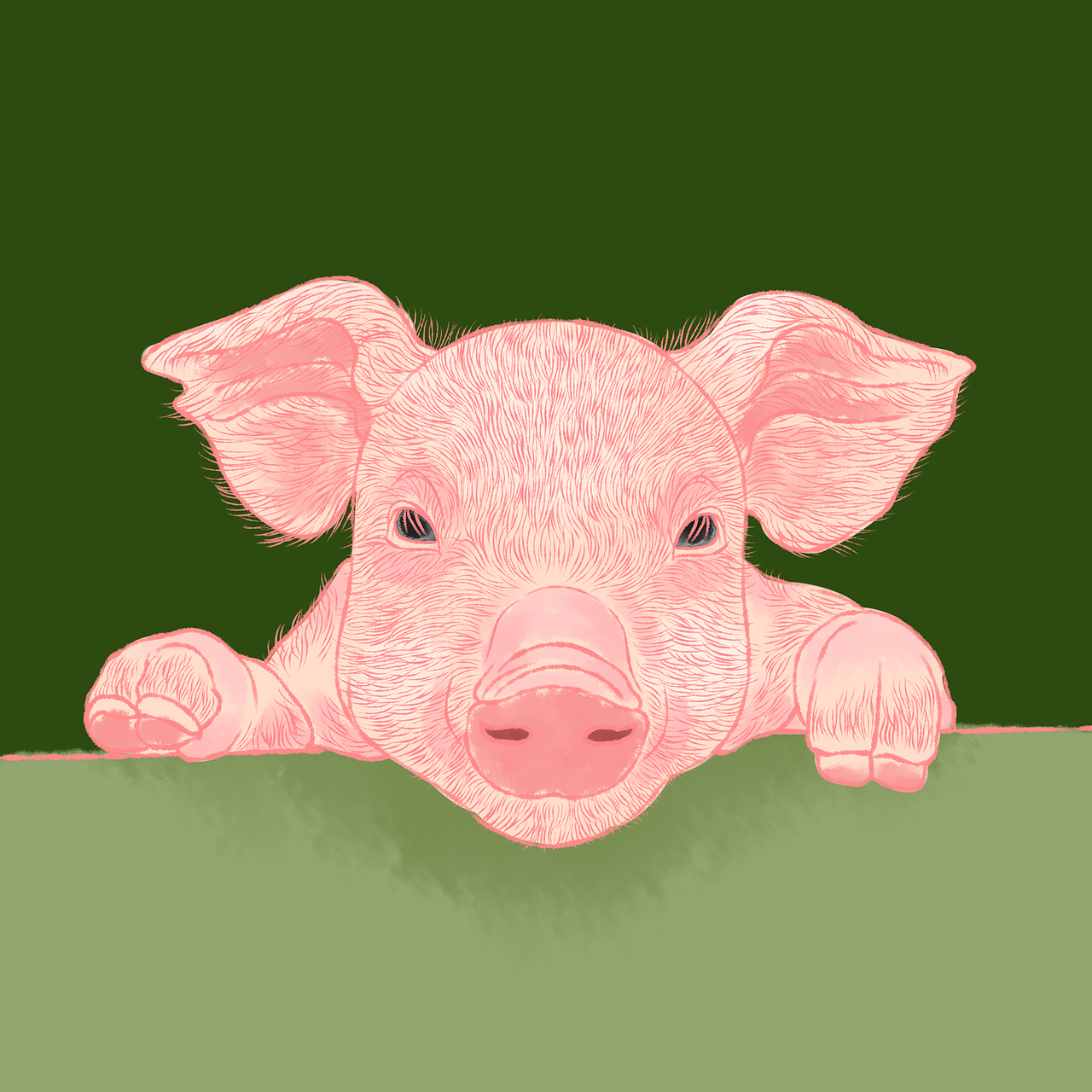 猪年快到了（图ZMTI3ODA0OTQ4） - 艺术插画 - 站酷设计师杜小米原创素材 - 站酷ZCOOL