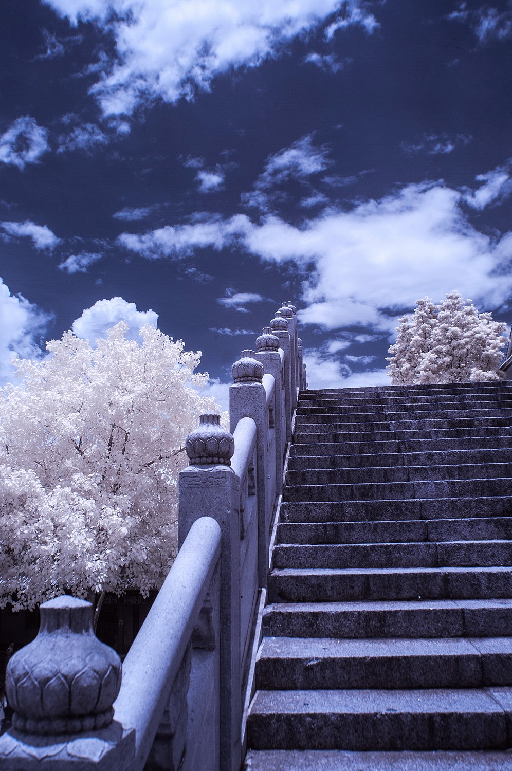 假如深圳下雪了