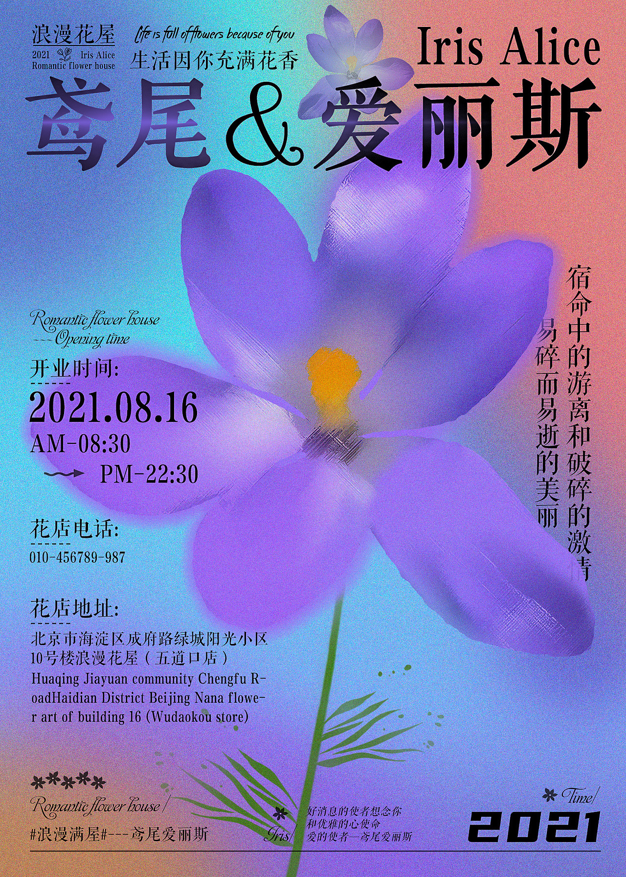 弥散光海报-冰棍&鸢尾花