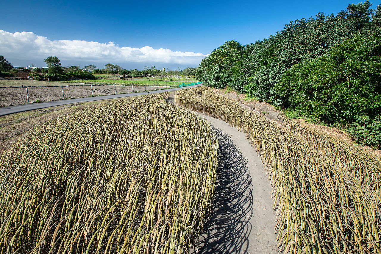 地景藝術《風的季節》（图ZMjQyNTc3MTg0） - 实验艺术 - 站酷设计师林靖格原创素材 - 站酷ZCOOL