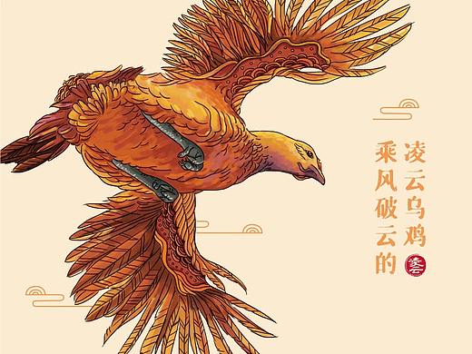 百凌乌鸡X如鱼设计 | 传统乌鸡的品牌突围