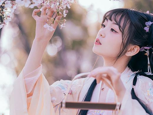 樱花落