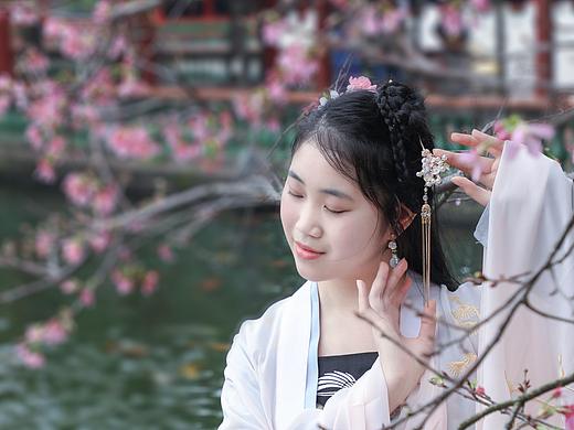 宝墨园樱花盛开时
