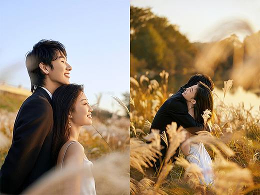 风苇闲诗，阳光将情话带进苇丛的风里