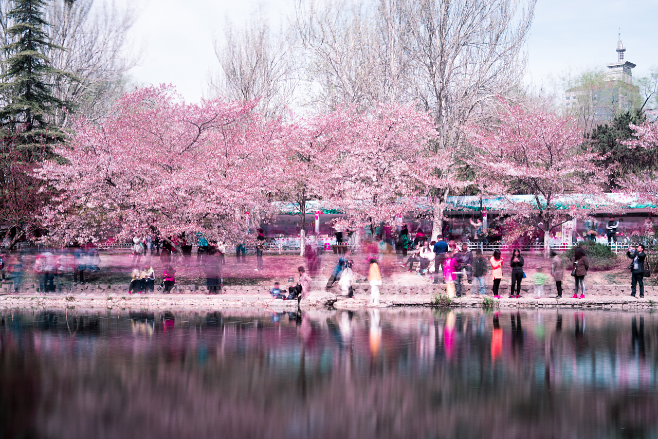 万物新生，淄博齐盛湖的春如约而至|淄博市_新浪新闻