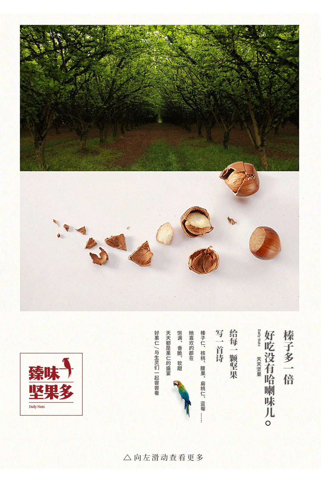 品牌定位 | 让一颗好坚果，讲一个故事......（图ZMjgxNjAzODUy） - 品牌 - 站酷设计师快车道品牌咨询原创素材 - 站酷ZCOOL