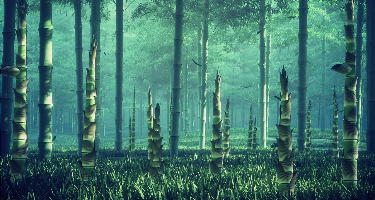 《天下宜宾》宜宾城市项目