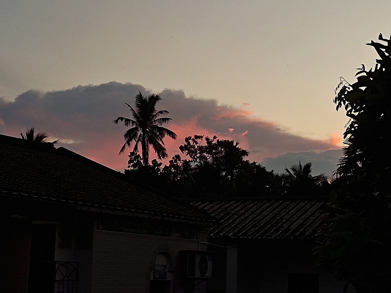 念念不忘 必有回响 这是电影里的桥段