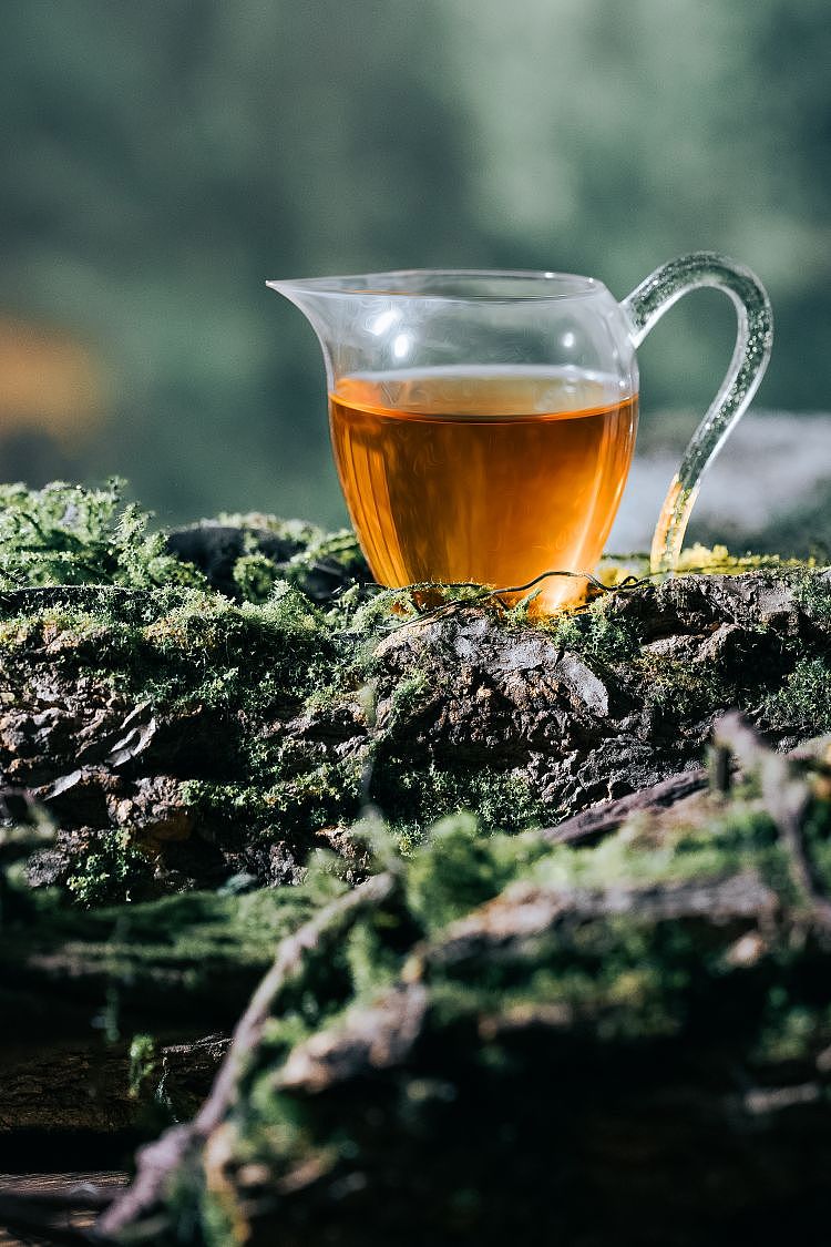 花果肉桂（圖ZMzQ2NTM3NjI0） - 產(chǎn)品攝影 - 站酷設(shè)計(jì)師小萌龍?jiān)瓌?chuàng)素材 - 站酷ZCOOL