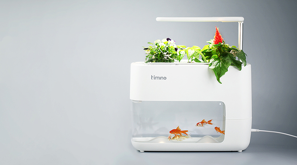 6鱼菜共生桌面系统设计|工业/产品|其他工业/产品|luna124_原创作品