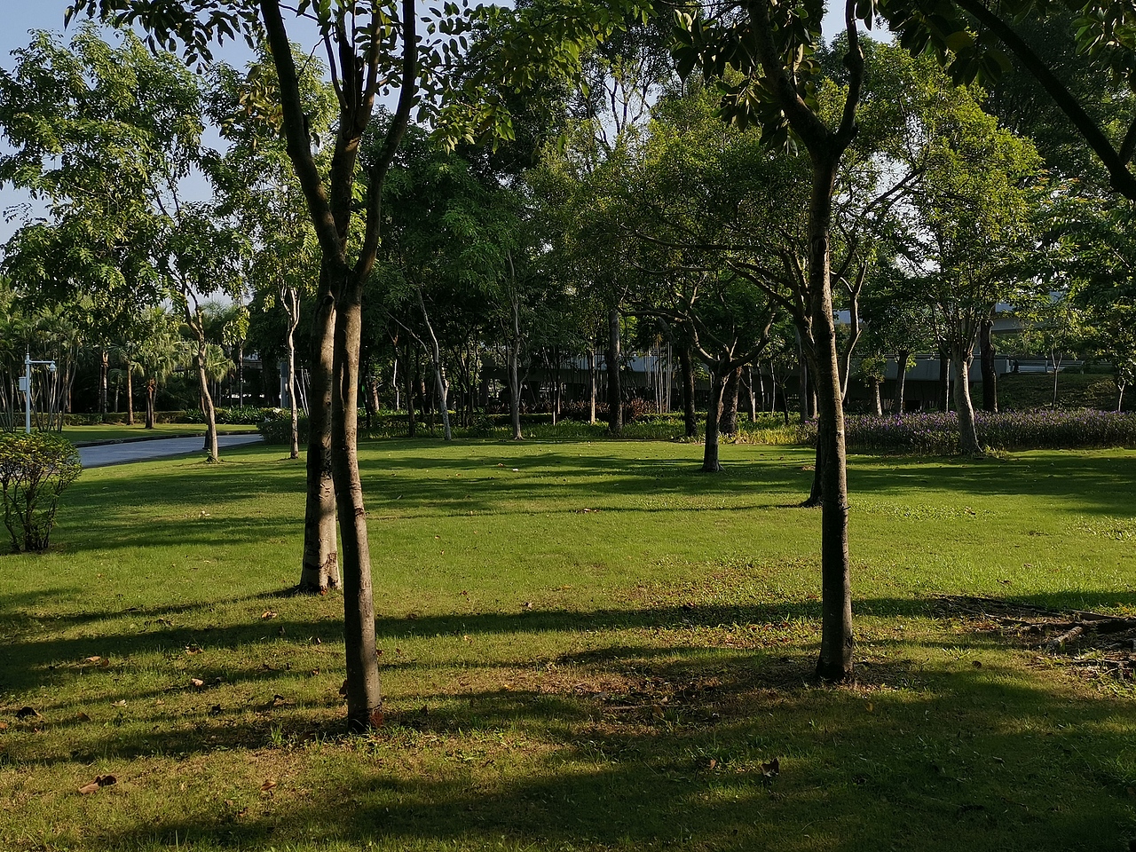 红树林公园