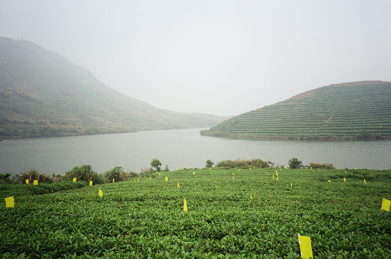 俞山岛#一个没有被开发的小岛