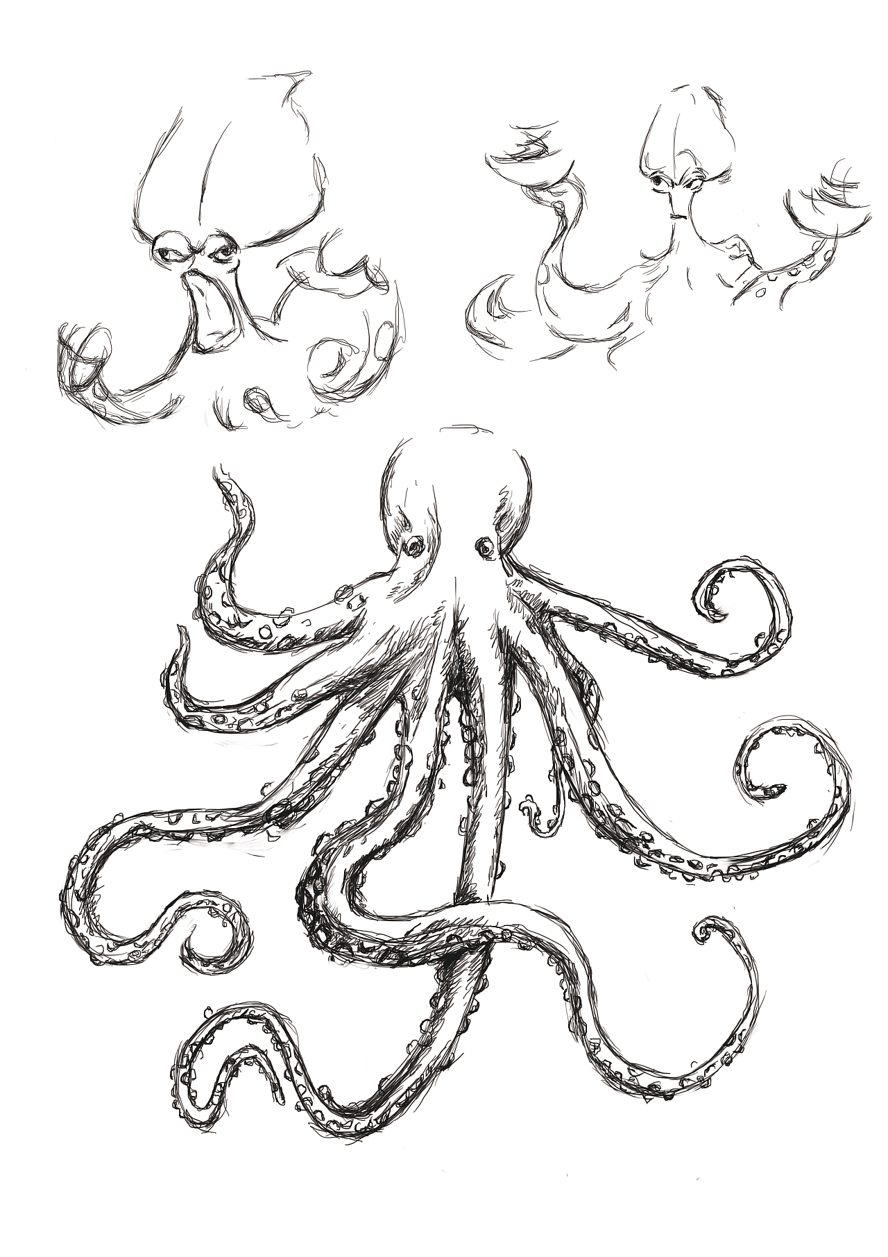 大章鱼的画法图片