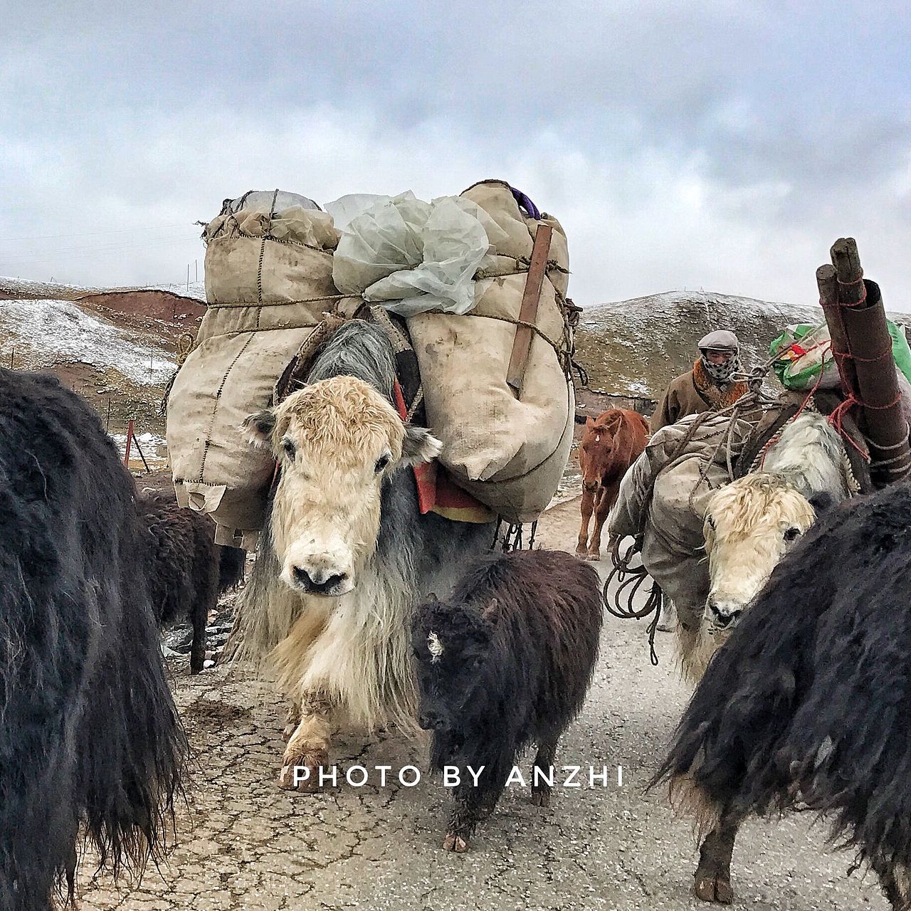遇见最美大西北（图ZMTAwNzQ2NTc2） - 风光摄影 - 站酷设计师安之HAHA原创素材 - 站酷ZCOOL