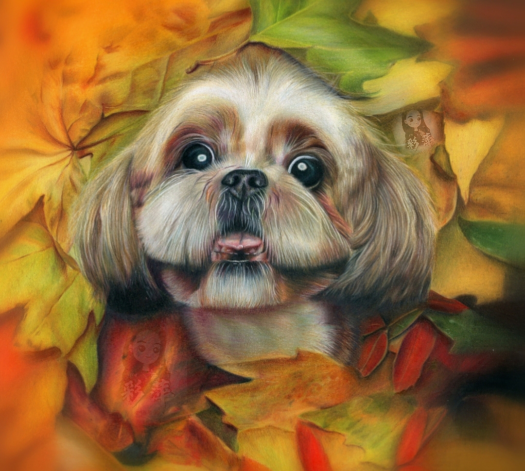 彩铅-西施（图ZMjU5NDA1MTAw） - 绘画 - 站酷设计师心悦彩铅绘原创素材 - 站酷ZCOOL