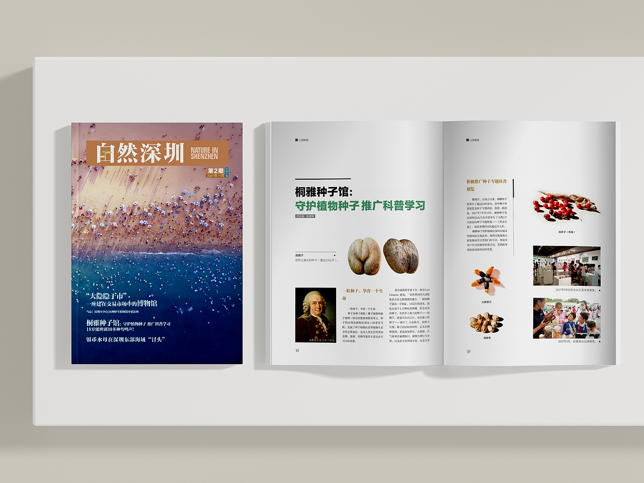 自然深圳（图ZMjk0NDY2NTI4） - 书籍/画册 - 站酷设计师Wuly行止原创素材 - 站酷ZCOOL