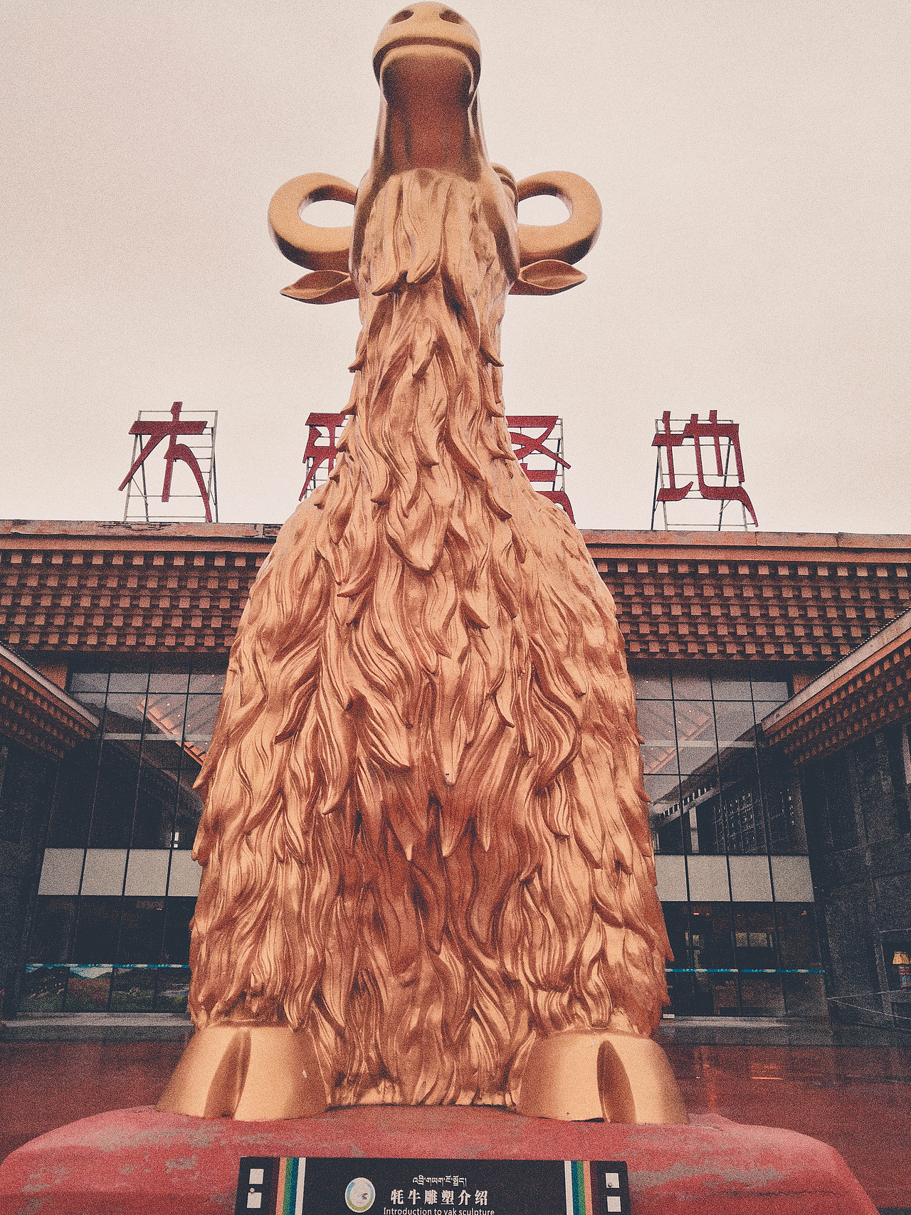 稻城，We Coming！（图ZMjI1Mzc5NzAw） - 人文/纪实摄影 - 站酷设计师有人爱茶煲原创素材 - 站酷ZCOOL