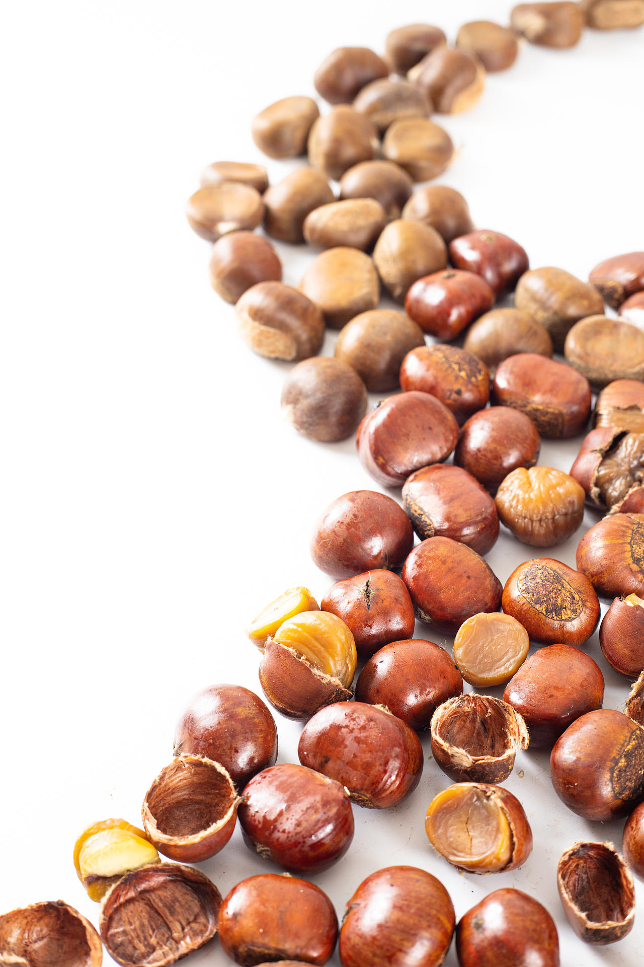 栗子（图ZMjI4NjEzNjA0） - 产品摄影 - 站酷设计师Shuren_Studio原创素材 - 站酷ZCOOL