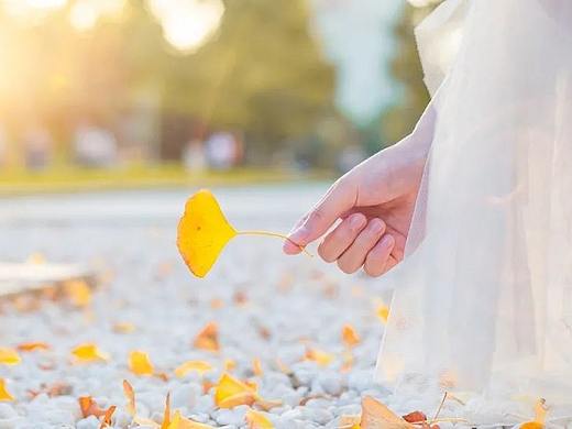 高考志愿指南|一分一段表如何使用？什么是位次？