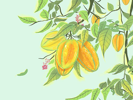 杨桃树上（个人主页-ZNTU2MjcyNDQ=） - 商业插画 - 站酷设计师画绘本的lili原创素材 - 站酷ZCOOL