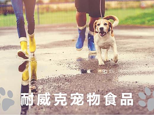 Web端-电商-耐威克宠物食品（个人主页-ZMjY0NTQ5MDQ=） - 电商 - 站酷设计师杰成为您原创素材 - 站酷ZCOOL