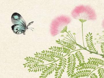 二十四节气花卉系列插画