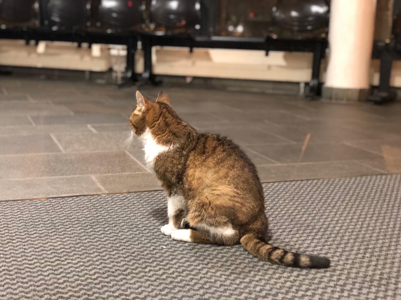 摄影 - 法国行 🇫🇷 / 展会 / 展馆 / 人文 / 法国（图ZMTg0NTQxMTEy） - 人文/纪实摄影 - 站酷设计师MrMaxlee原创素材 - 站酷ZCOOL