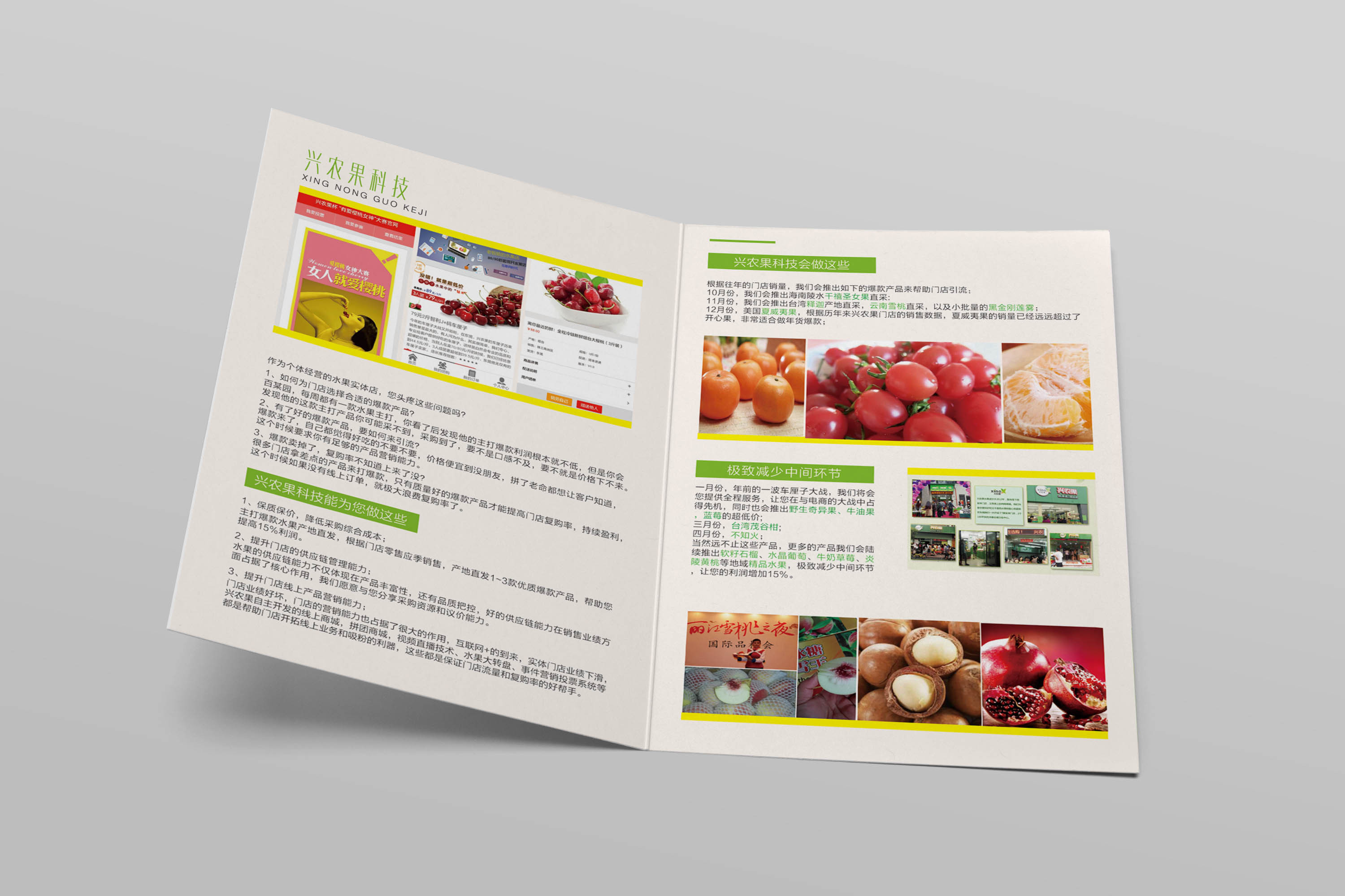 水果 鲜果 农果 橙橘 a4二折页设计 两折页 宣传单4p