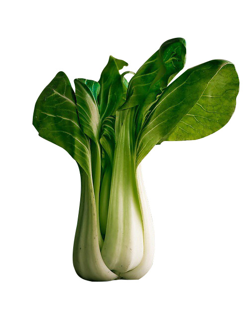 PS钢笔抠图赏析