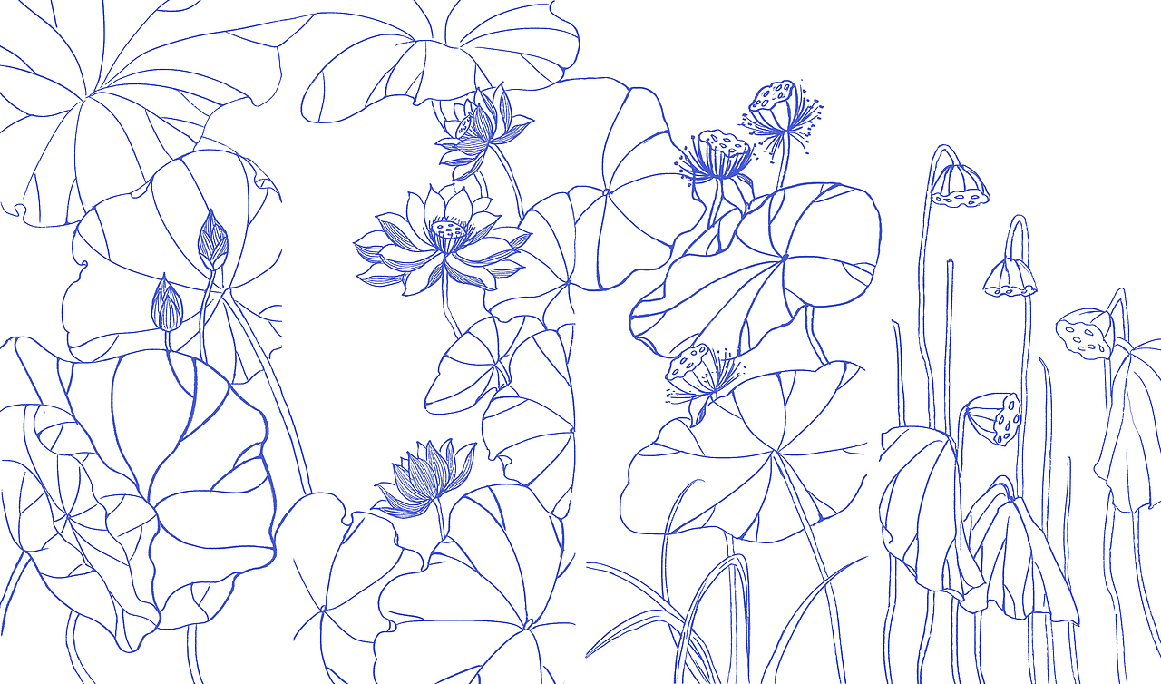 插畫（圖ZMTcyNzQyMDEy） - 藝術(shù)插畫 - 站酷設(shè)計(jì)師Ypc站在陽光里原創(chuàng)素材 - 站酷ZCOOL