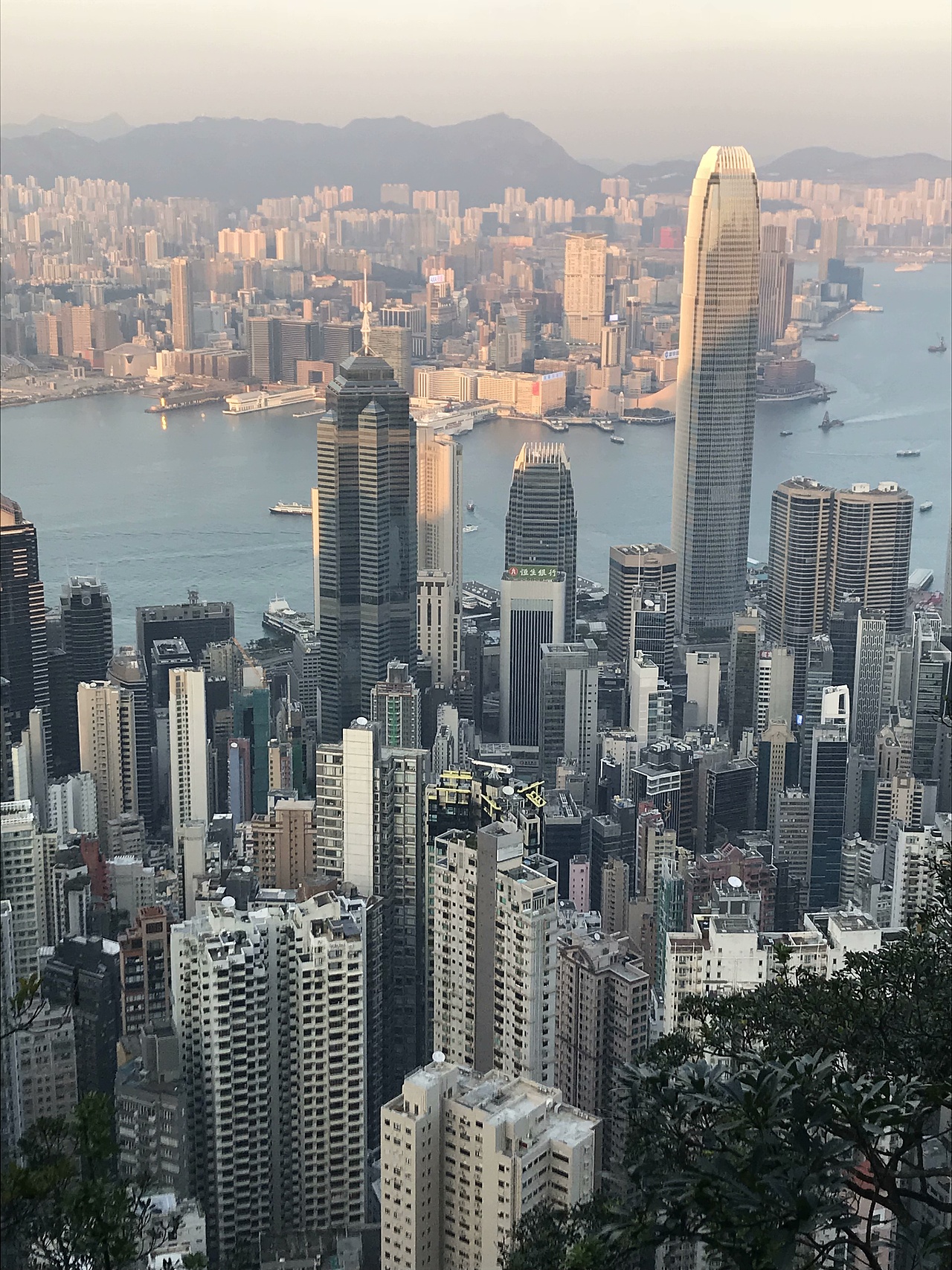 香港 I那些做助理的日子