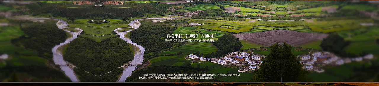 健膳乐食2015版松茸设计（图ZMzIxNTMxOTY=） - 电商 - 站酷设计师掌生鼓力文化传播原创素材 - 站酷ZCOOL