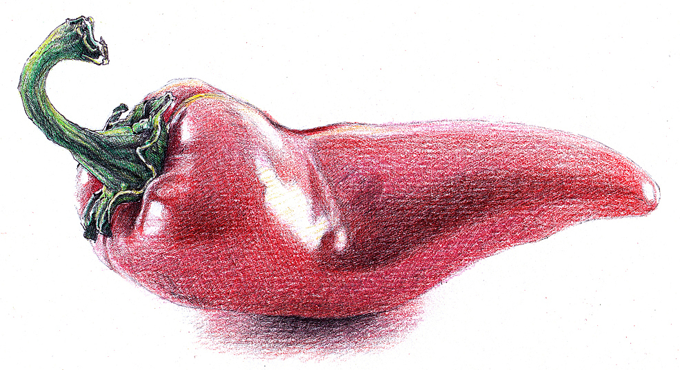 2012~2013彩铅画磨笔小品汇总