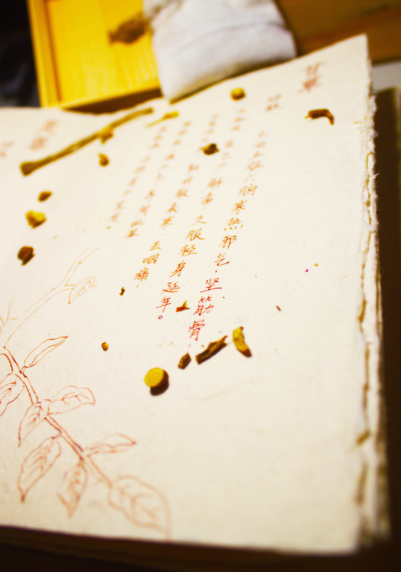 十二味书籍设计