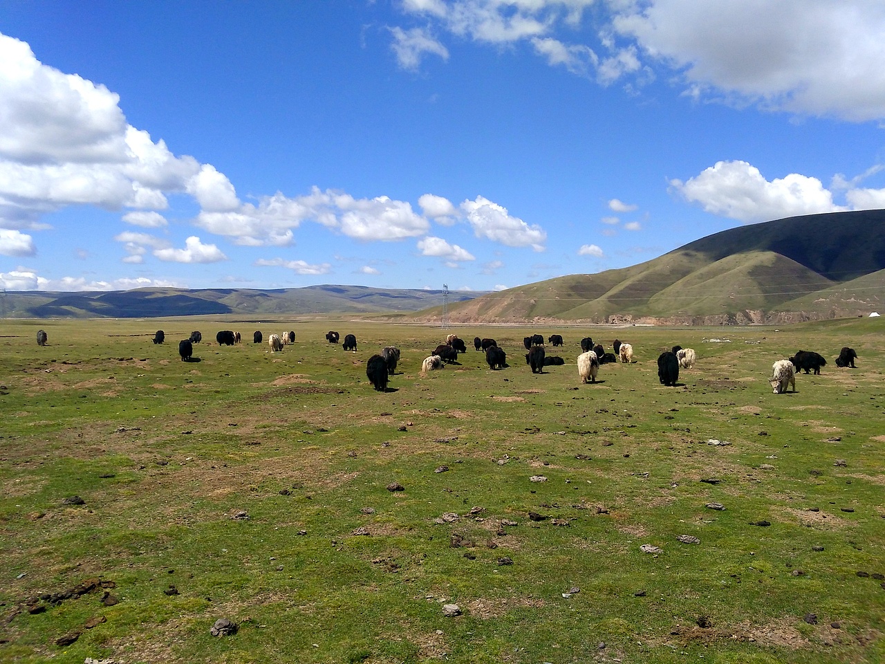 北上西行：青海纪行（图ZNTExMTM5NTY=） - 风光摄影 - 站酷设计师KIKYOU85原创素材 - 站酷ZCOOL