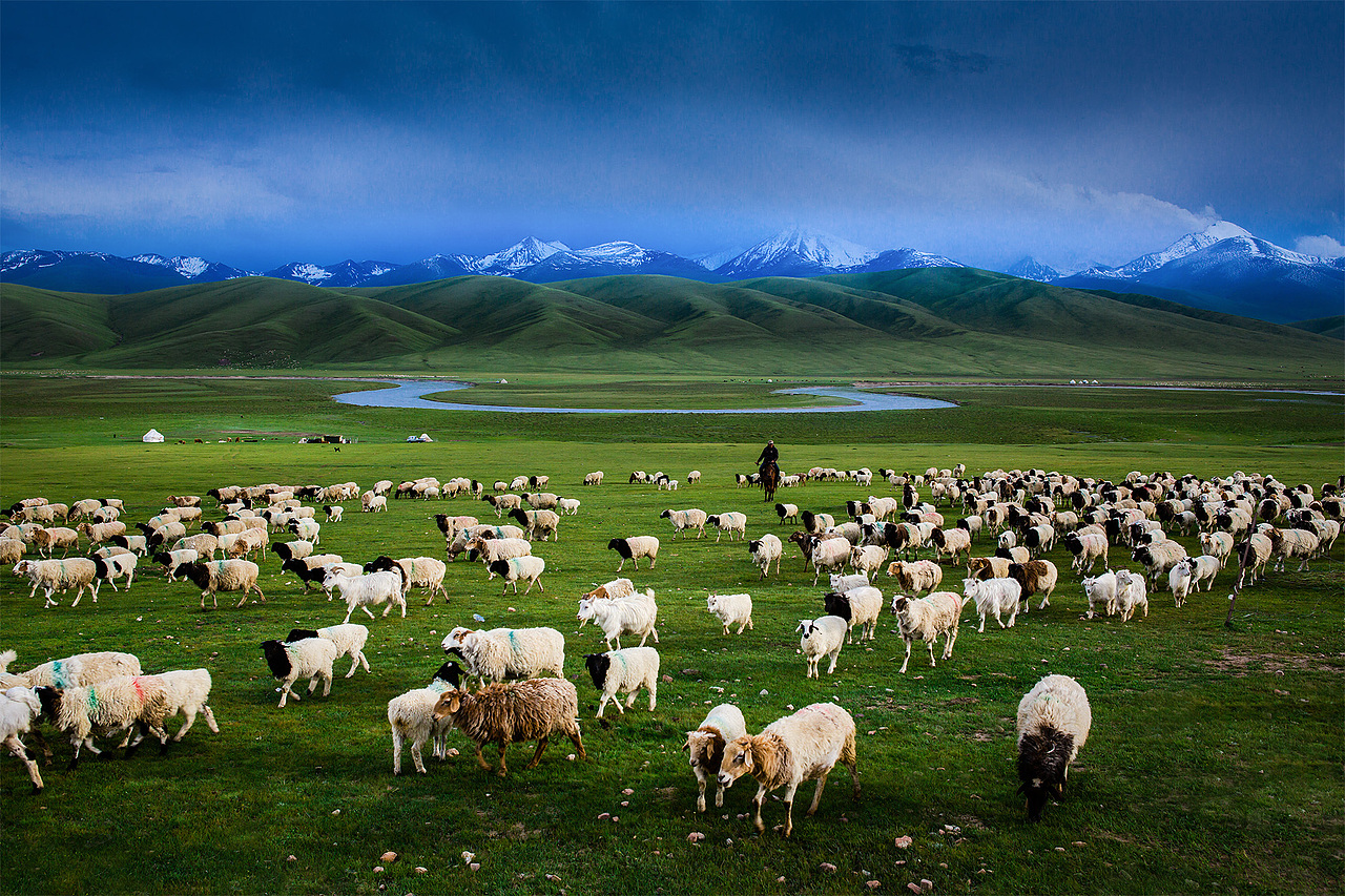 独库公路的3种草原（图ZMjE2MjI2MTEy） - 风光摄影 - 站酷设计师新疆摄影家沈久泉原创素材 - 站酷ZCOOL