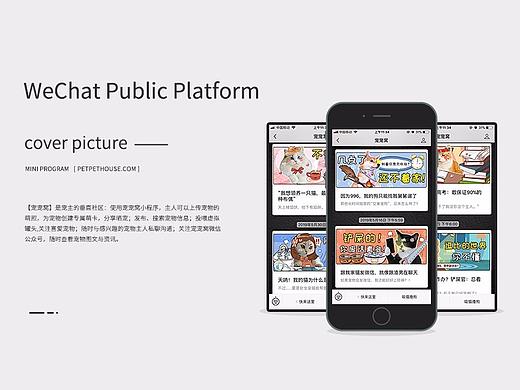 宠宠窝｜小程序微信公众号封面图部分合集