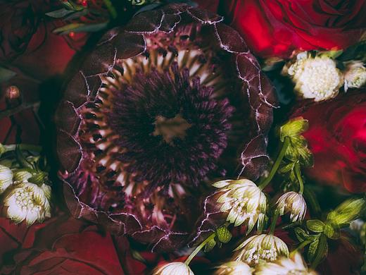 20191227/03:00（个人主页-ZNDE4NTI3NTY=） - 产品摄影 - 站酷设计师LiangjieLi原创素材 - 站酷ZCOOL