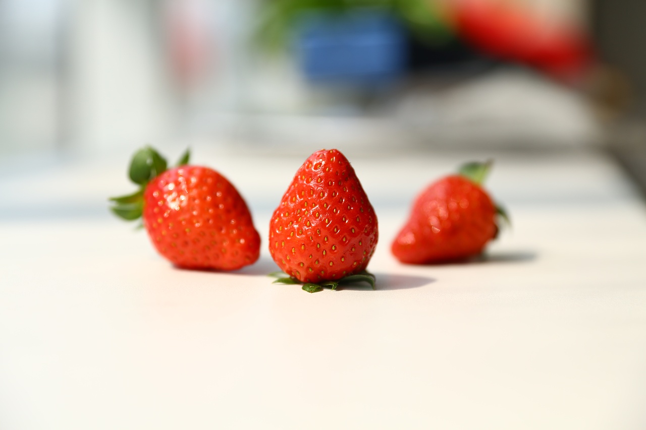 温室水果-草莓|摄影|静物|辨辨童鞋 - 原创作品 - 站酷 (zcool)