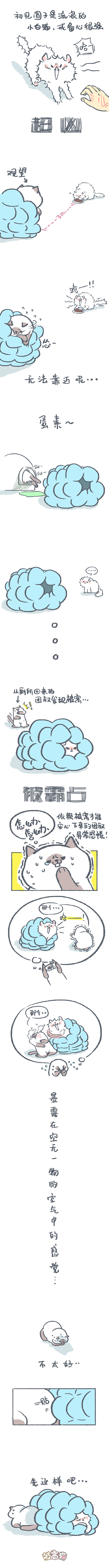 被窝猫漫画——超凶小白猫圆子登场~！（图ZMTI3NzQ0MDUy） - 短篇/格漫 - 站酷设计师被窝猫BeddingCat原创素材 - 站酷ZCOOL