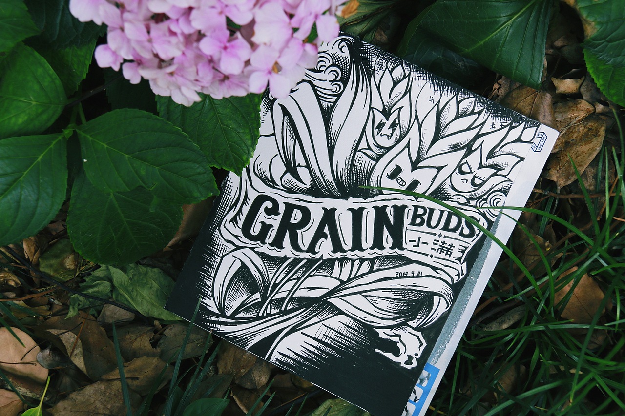 24节气——手绘（图ZMTYyNDM4NDky） - 新锐潮流插画 - 站酷设计师海洋薇生物原创素材 - 站酷ZCOOL