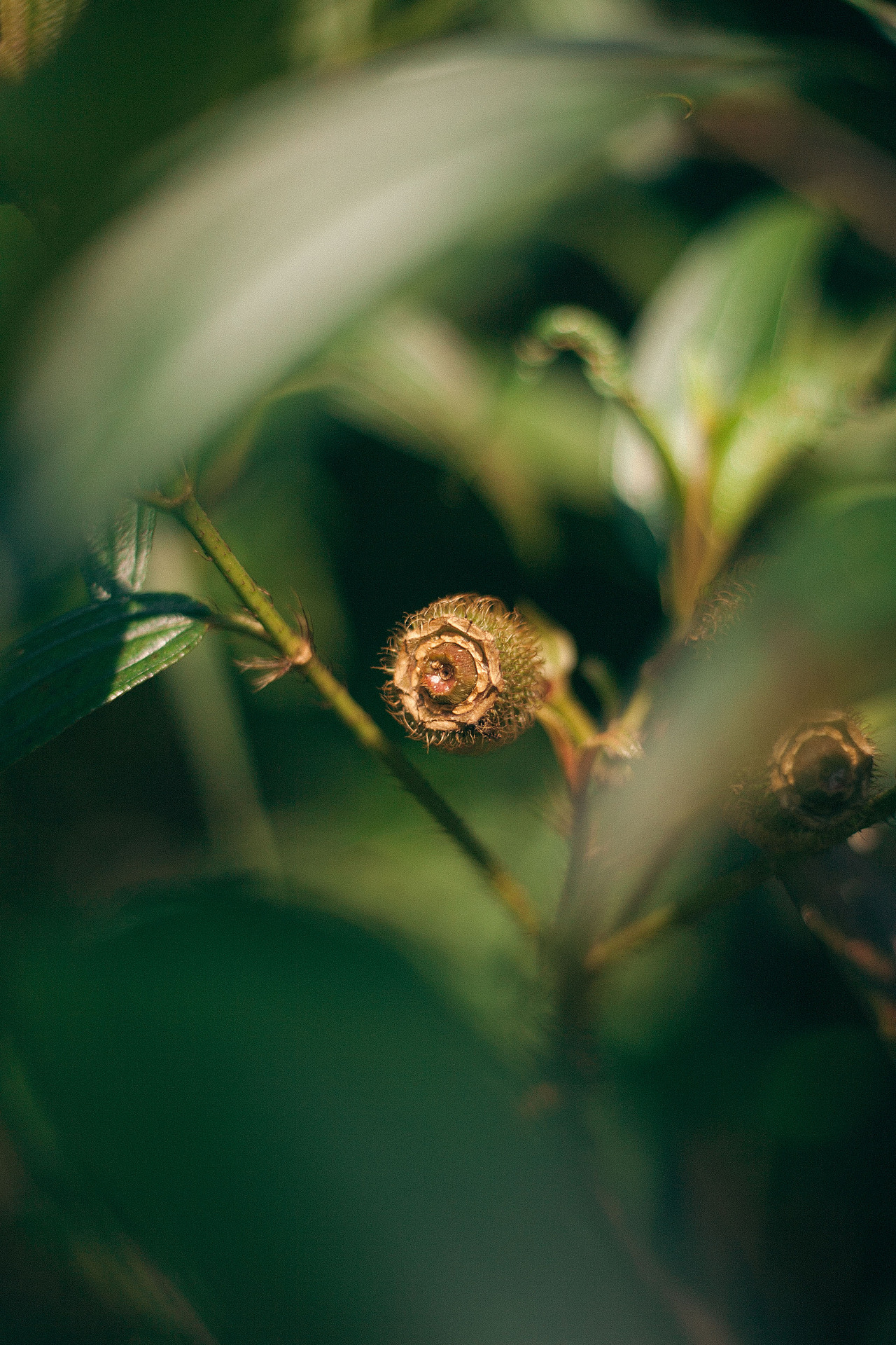田园·农场·山野