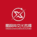 星视角文化的头像