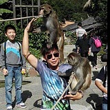 一条很小的大鱼的头像