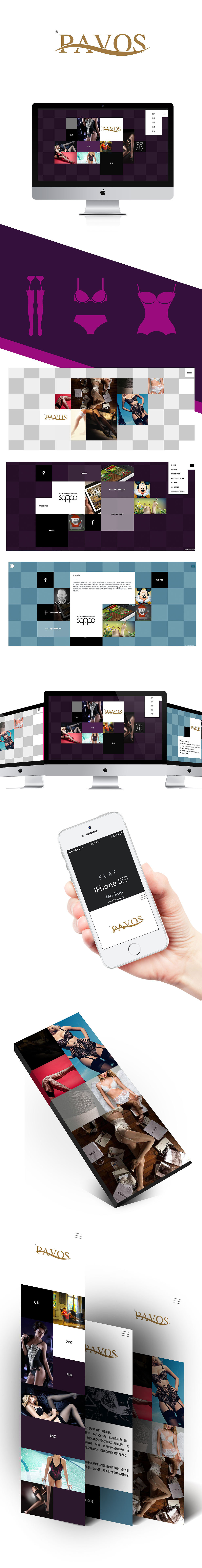 web效果图学员作品PAVOS【天津网页设计培训】诚筑说