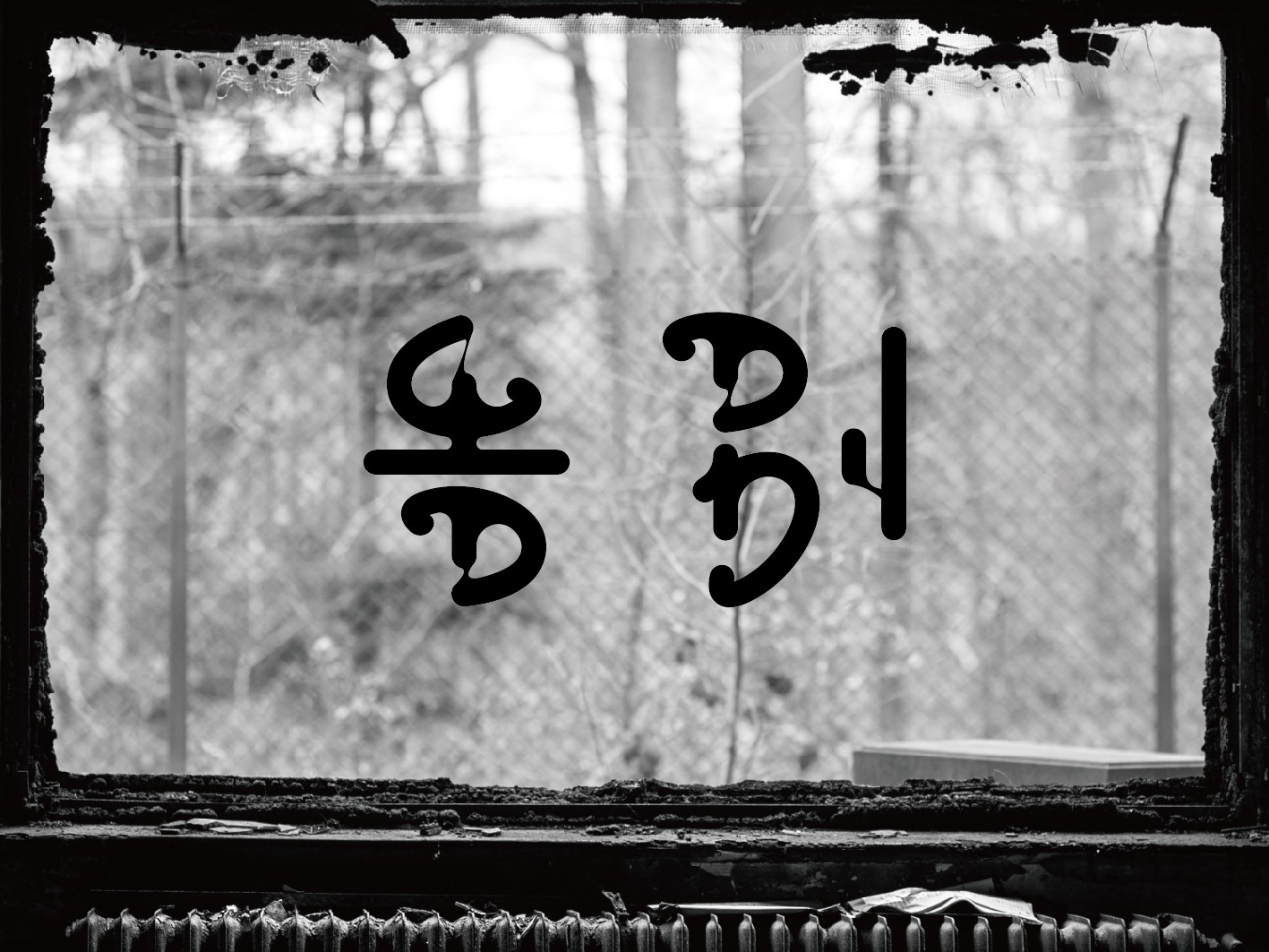 體驗(yàn)高清流暢的足球直播盛宴
