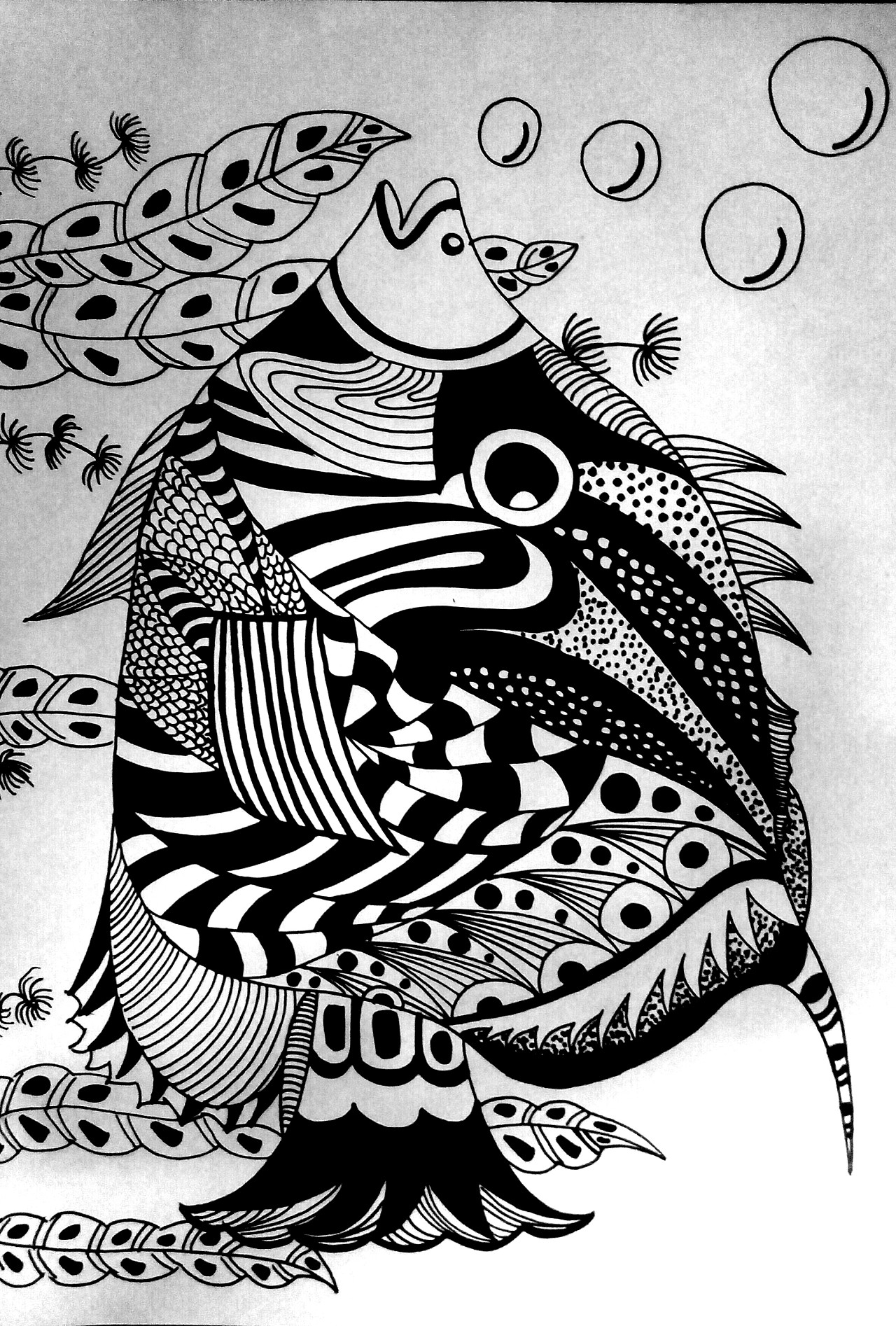 黑白线描画-美人图|插画|创作习作|小鱼老师 - 原创作品 - 站酷 (ZCOOL)