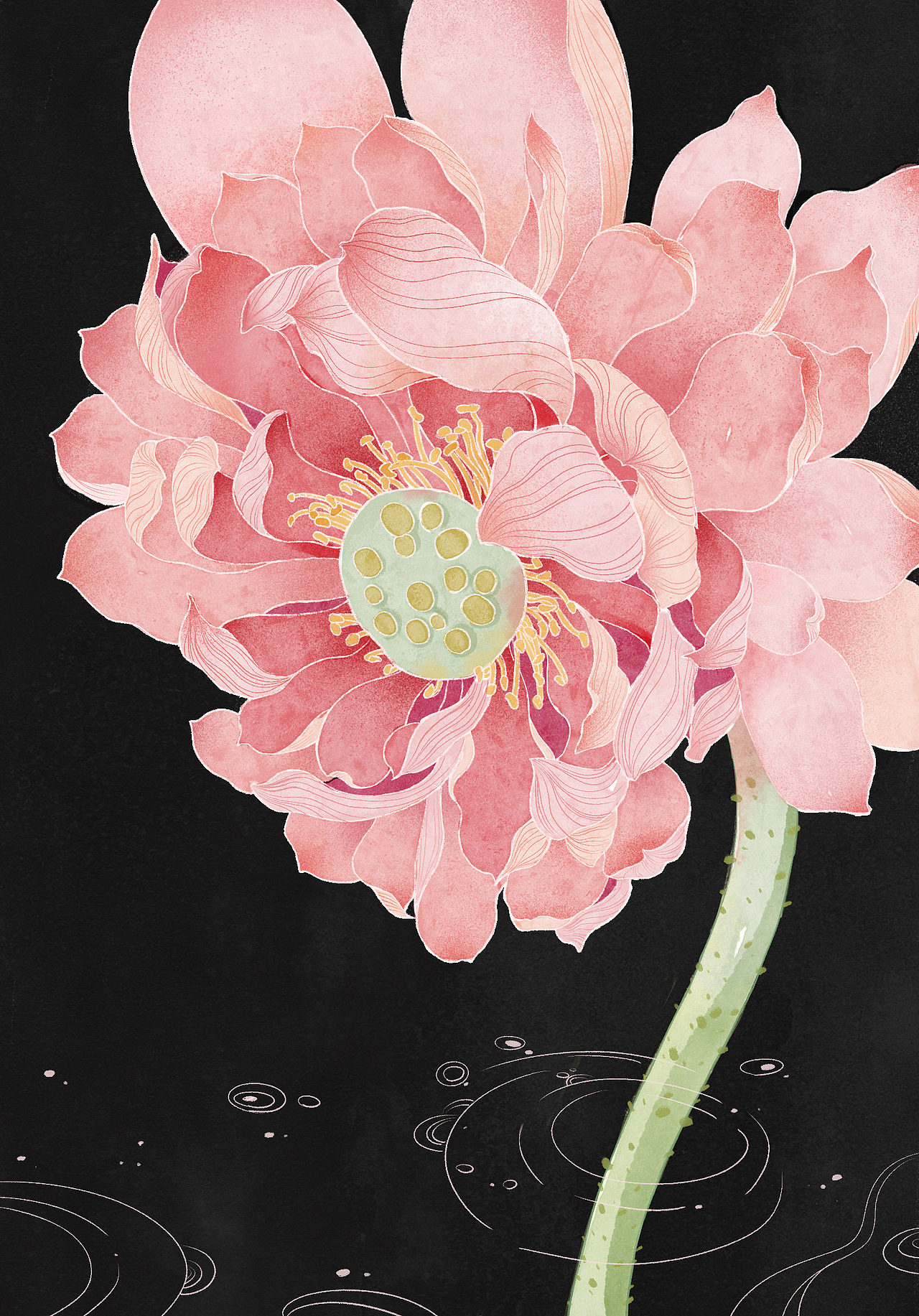 以荷为贵（图ZMzc1MDY2MTEy） - 商业插画 - 站酷设计师柠檬杨乐多原创素材 - 站酷ZCOOL