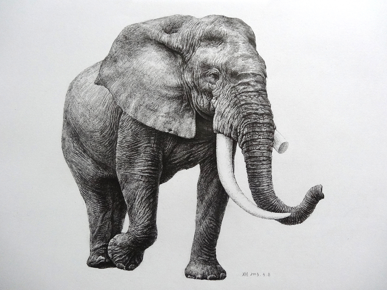 缺角的象（鋼筆畫）（圖ZMTY0Mjk5Njg=） - 繪畫 - 站酷設(shè)計(jì)師許歡原創(chuàng)素材 - 站酷ZCOOL