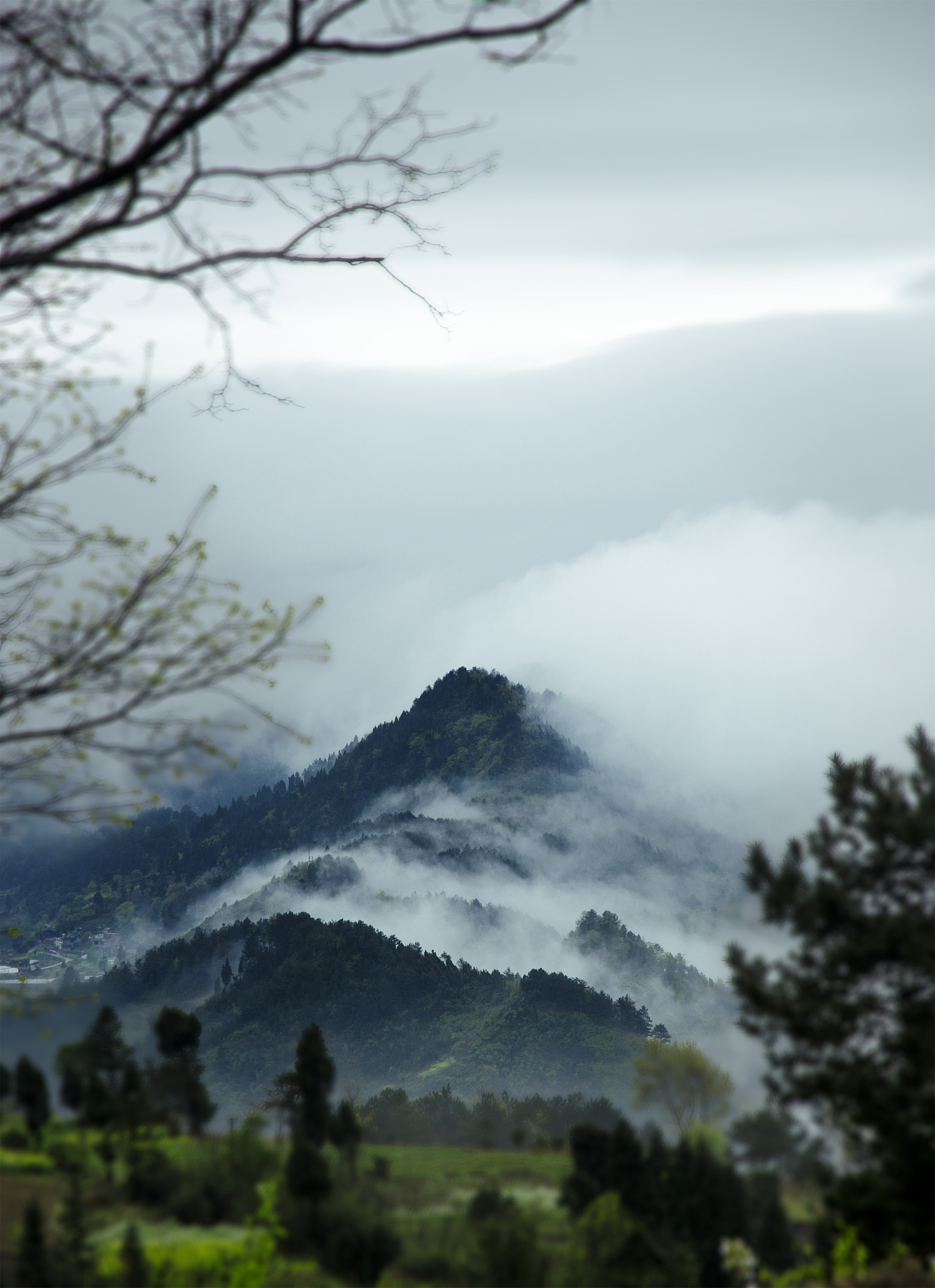 山间晨雾,只此一瞬遵义 |                   